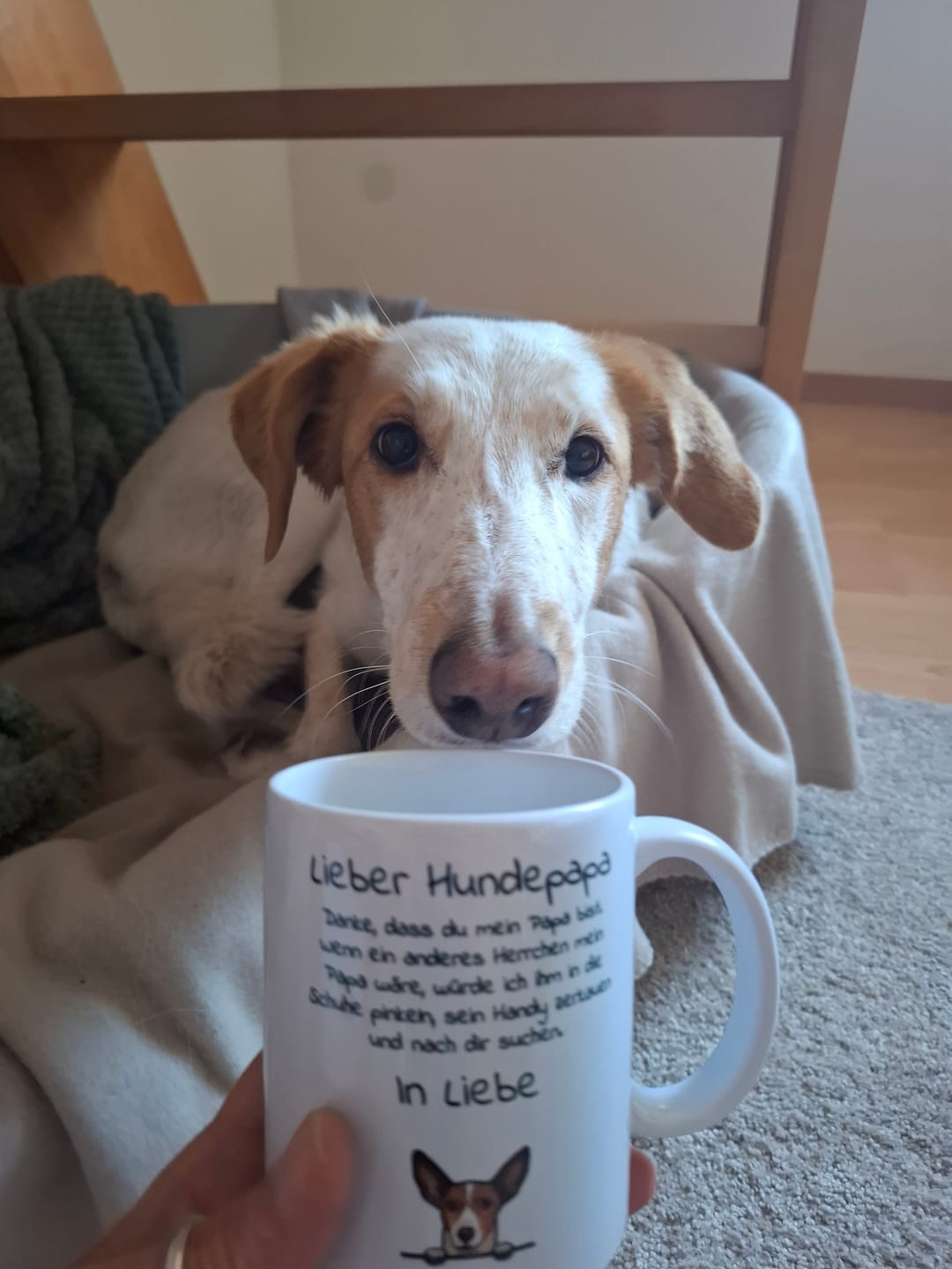 Customer photo review of Personalisierte Tasse - Lieber Hundepapa