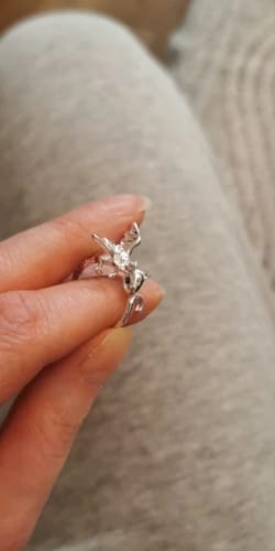 Customer photo review of Adjustable Toothless & Light Fury Ring