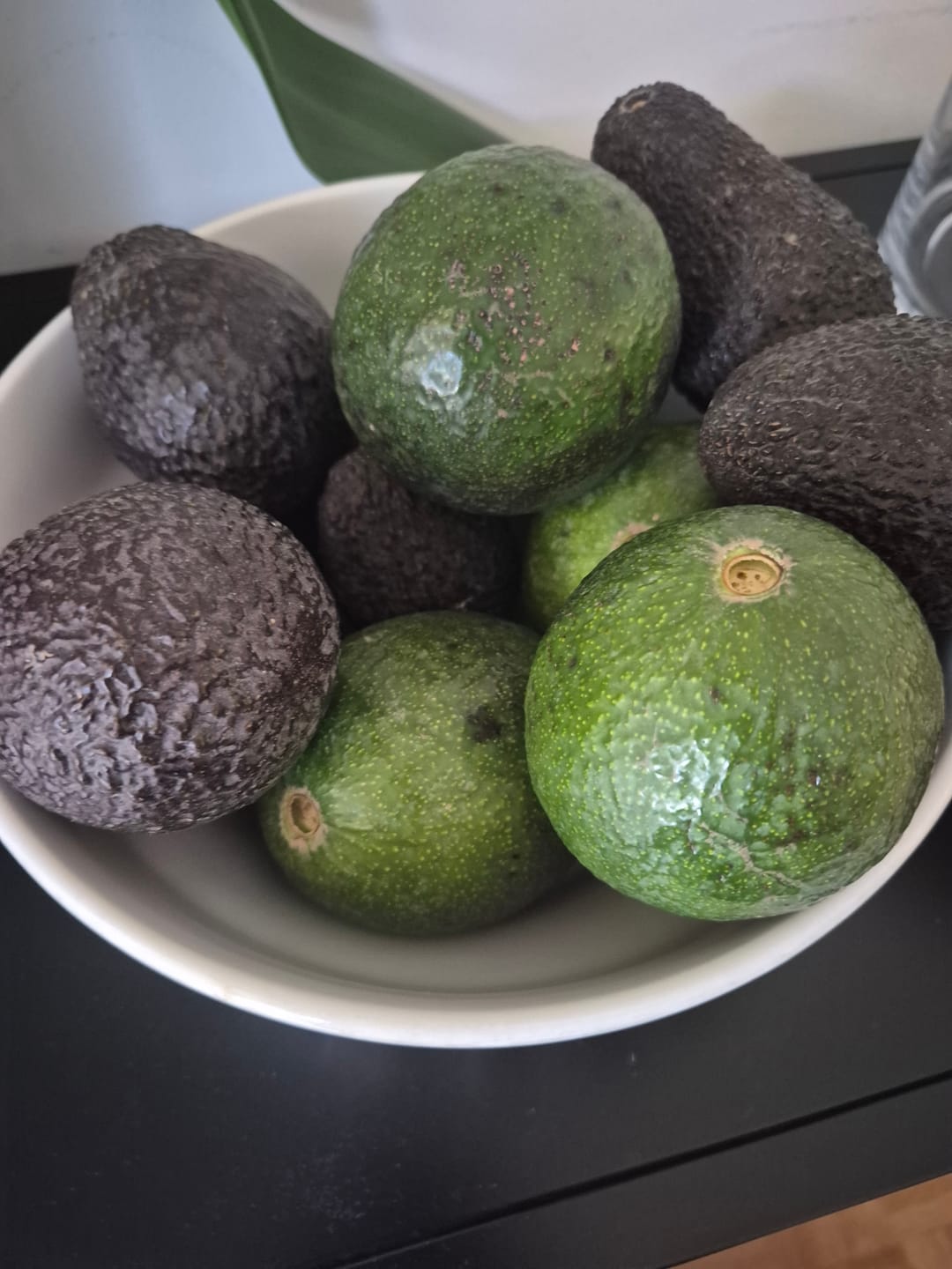 Customer photo review of Avocado Retterbox "Späternte" von Juan 3kg