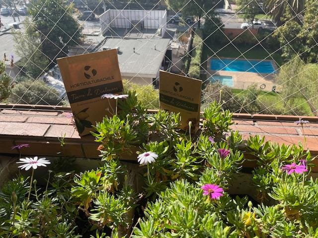 Customer photo review of Tierra de diatomeas