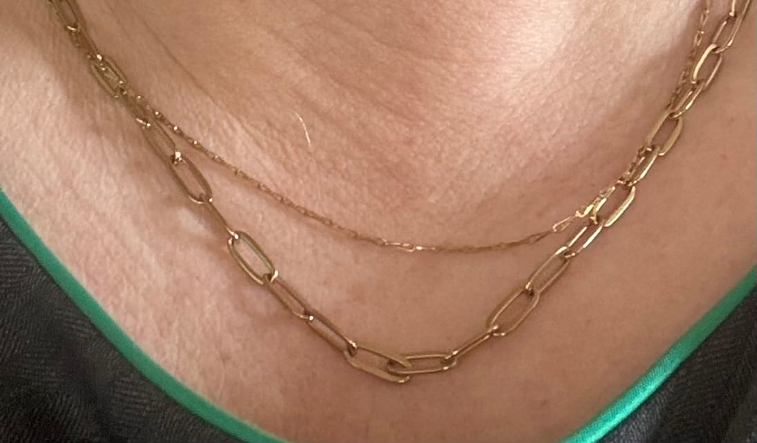 Customer photo review of Paperclip Necklace