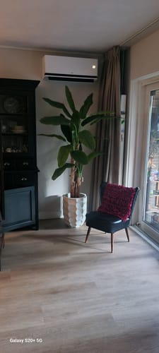 Customer photo review of Kunst Bananenplant 180cm