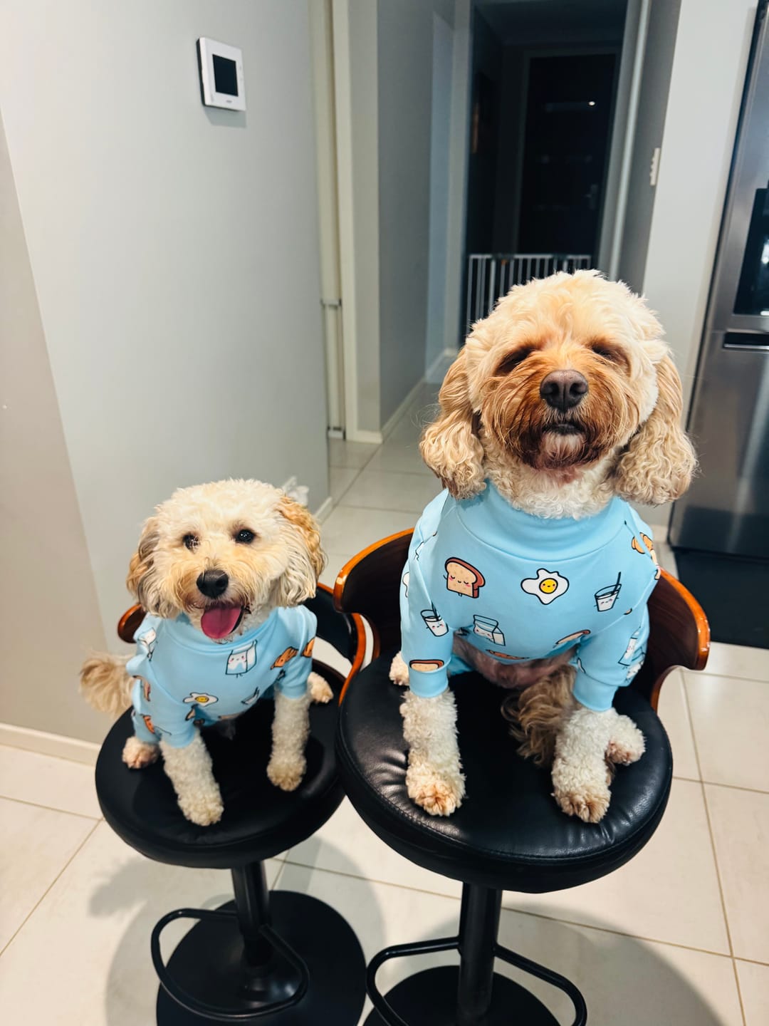 Customer photo review of Dog Pajama Prints