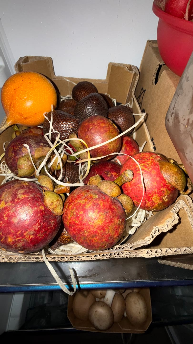 Customer photo review of Mangostan Aktionsbox % 1,25kg