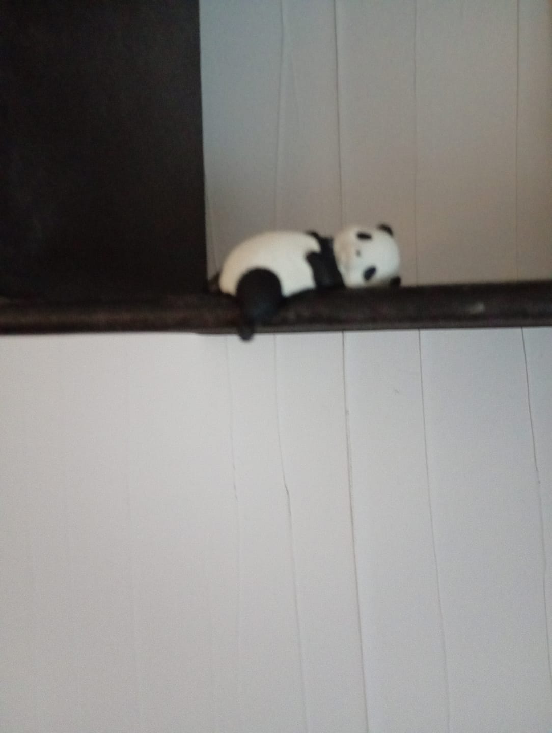 Customer photo review of Figurine Gachapon Panda Endormi