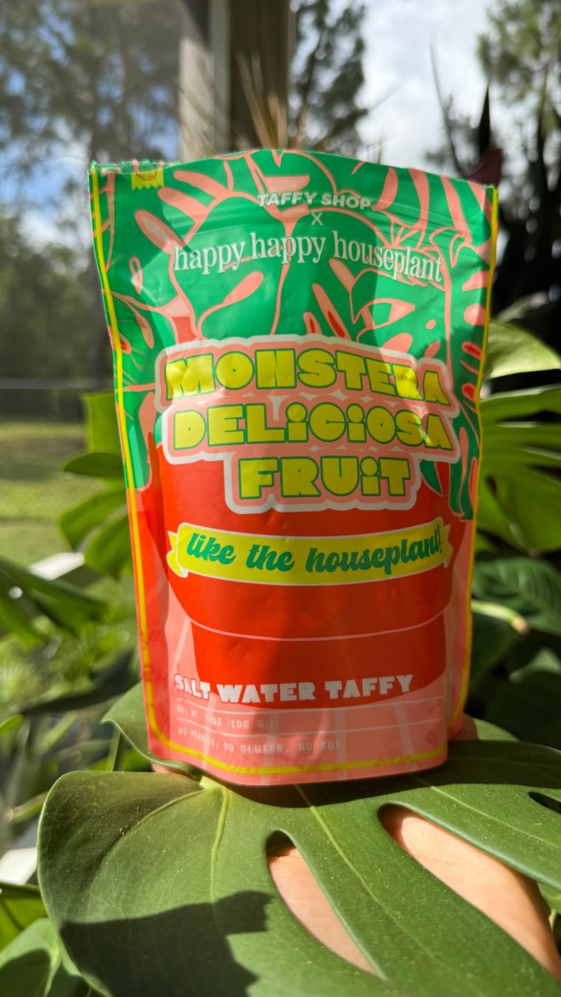 Customer photo review of Monstera Deliciosa Fruit Salt Water Taffy