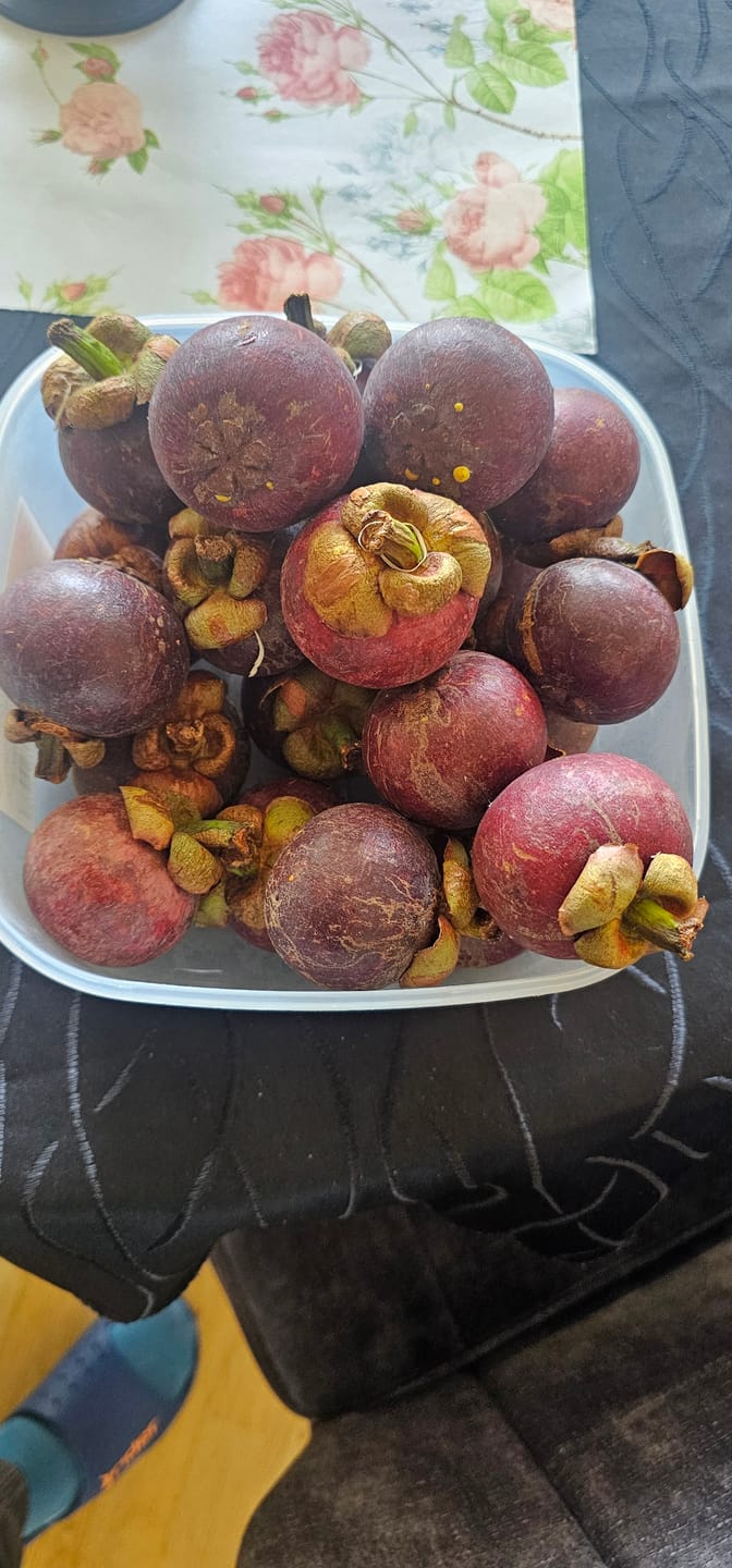 Customer photo review of Mangostan unbehandelt Thailand 1,5kg Box Kennenlernpreis %