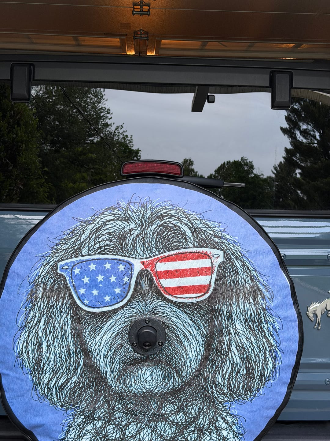Customer photo review of CUSTOM DESIGN Tire Cover