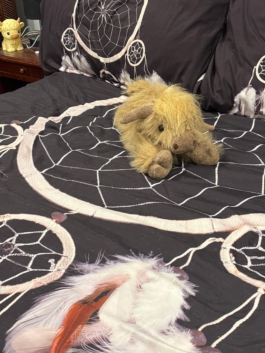 Customer photo review of Highland Cow Weighted Heated Plush