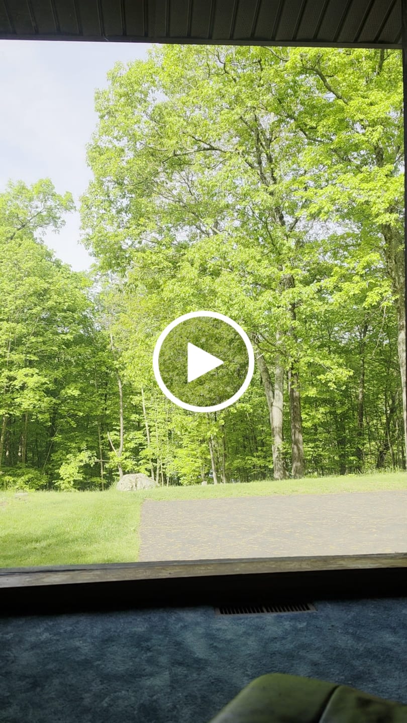 Customer video review of Bringnox Motorized Roller Shades 100% Blackout Vigor