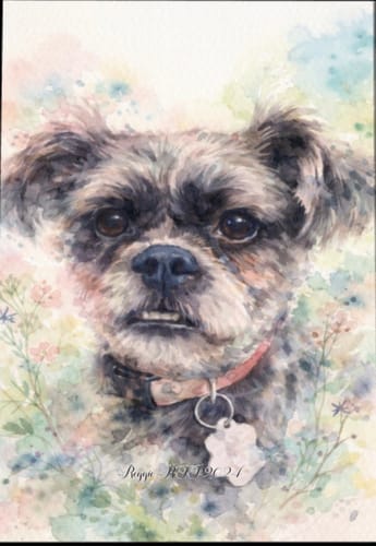 Customer photo review of Personalized Poster With Dog or Cat - Watercolor