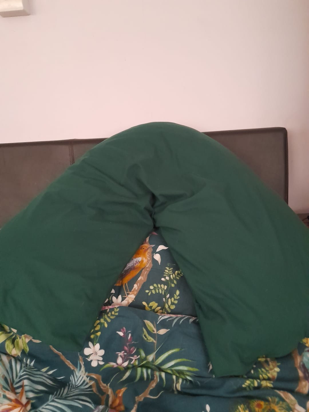 Customer photo review of Plain Polycotton Fabric