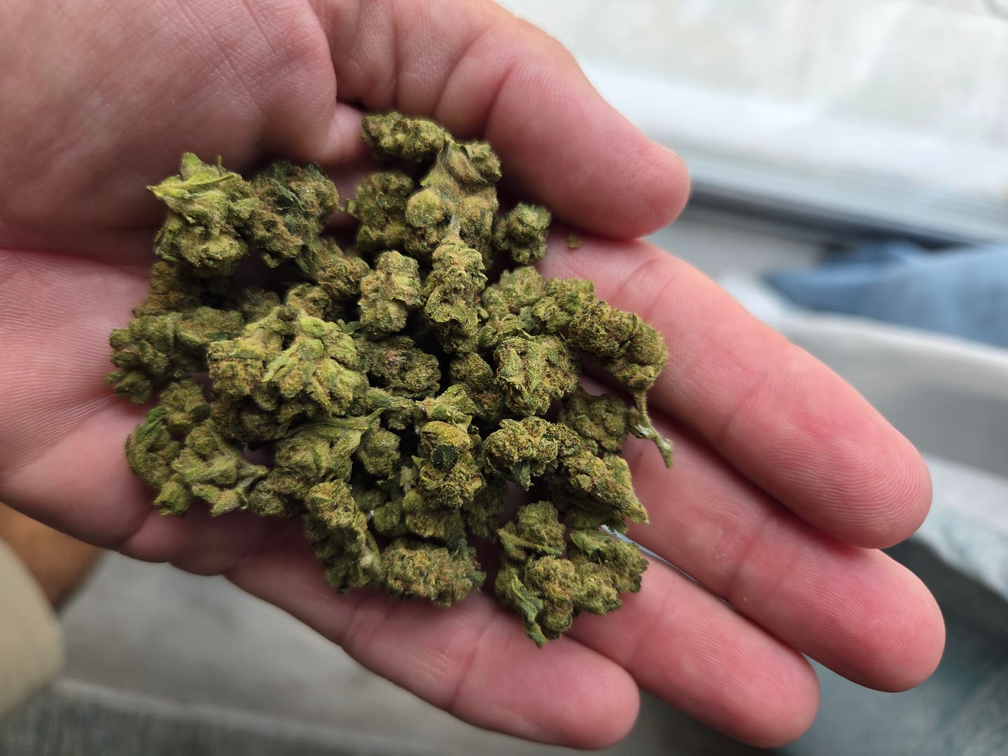 Customer photo review of Maui Wowie - 28 Grams Littles - Sativa