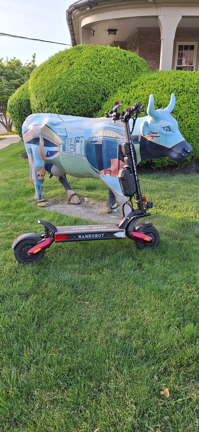 Customer photo review of NANROBOT LS7+ 72V