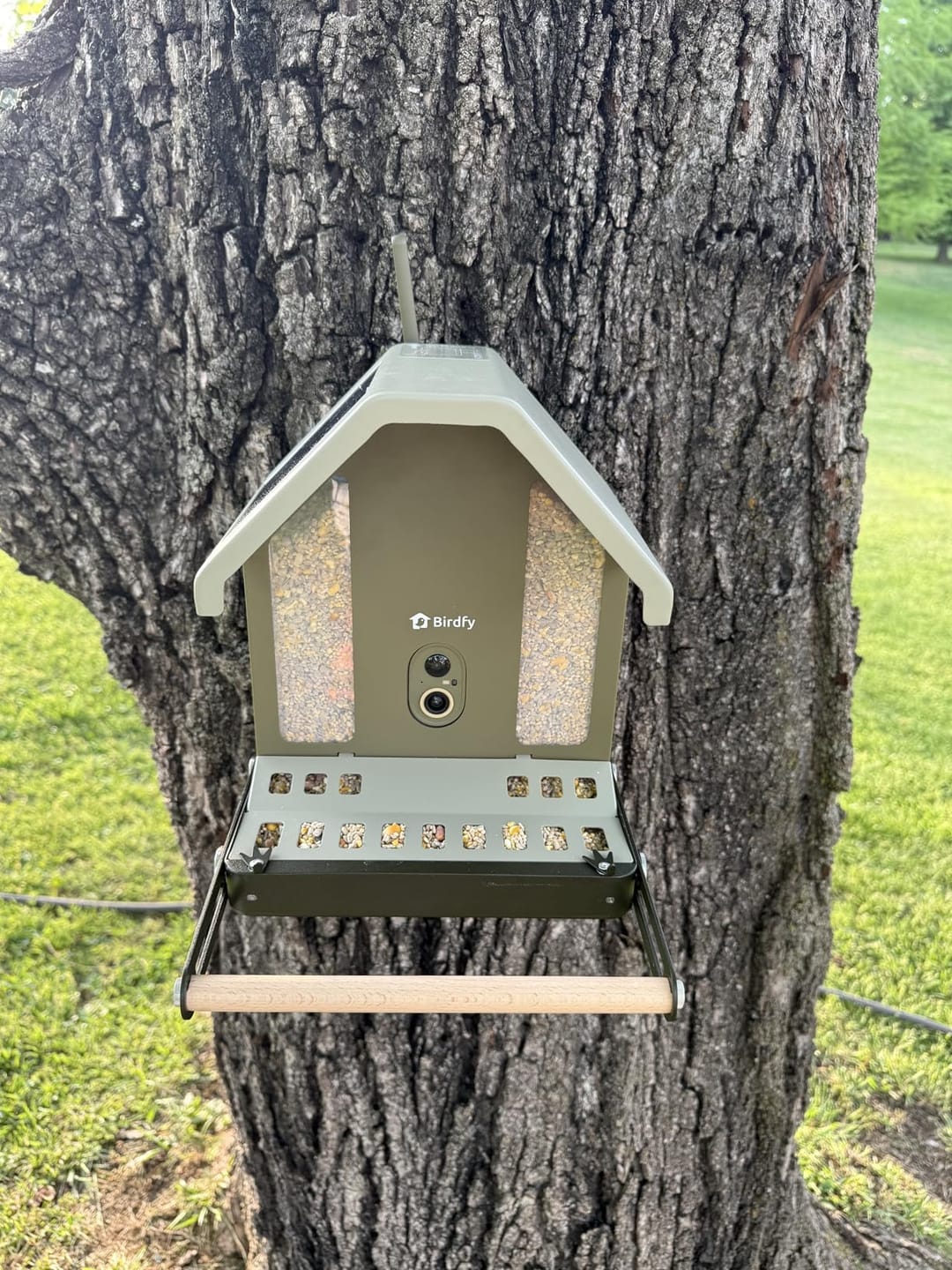 Customer photo review of Birdfy Feeder Metal 2 4K - Smart Metal Feeder with Camera