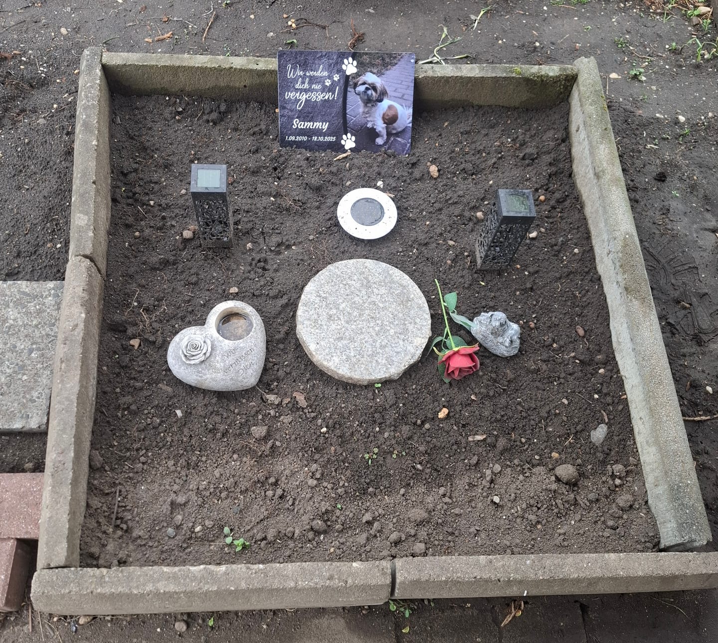 Customer photo review of Hunde Gedenktafel mit Foto & Spruch (UV- &  Wetterfest)