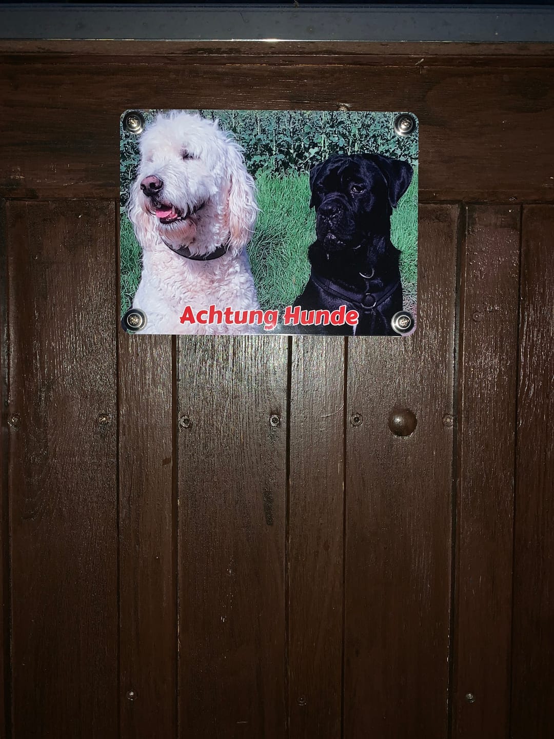 Customer photo review of Hunde-Türschild personalisiert mit Foto & Text (UV- und wetterfest)