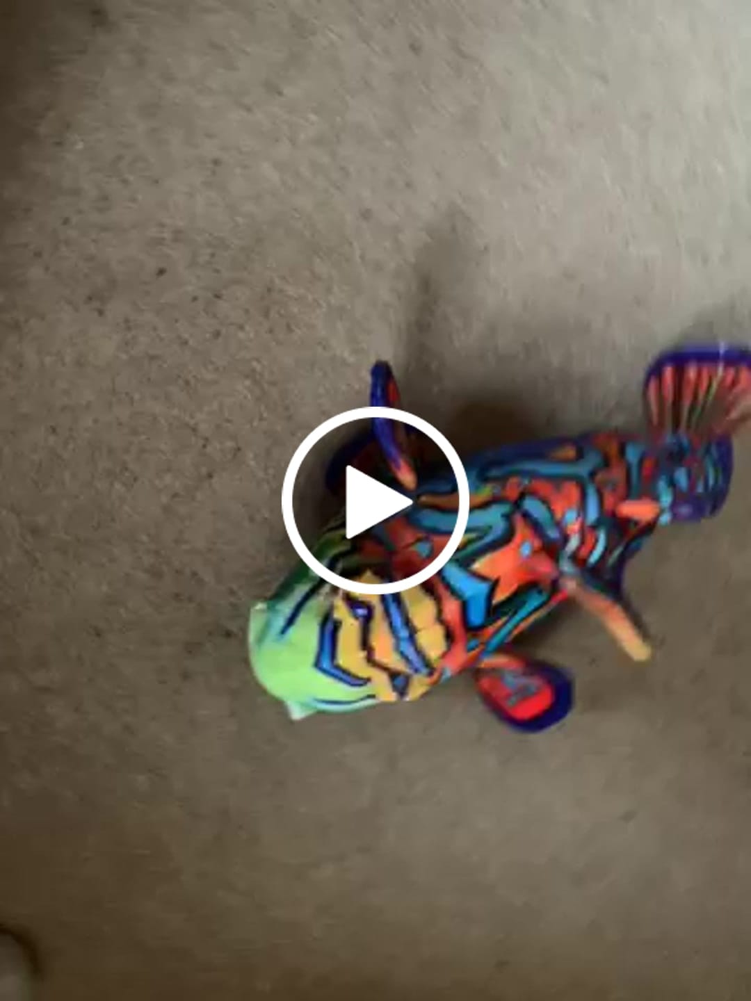 Customer video review of Mandarinfish Soft Stuffed Plush Toy