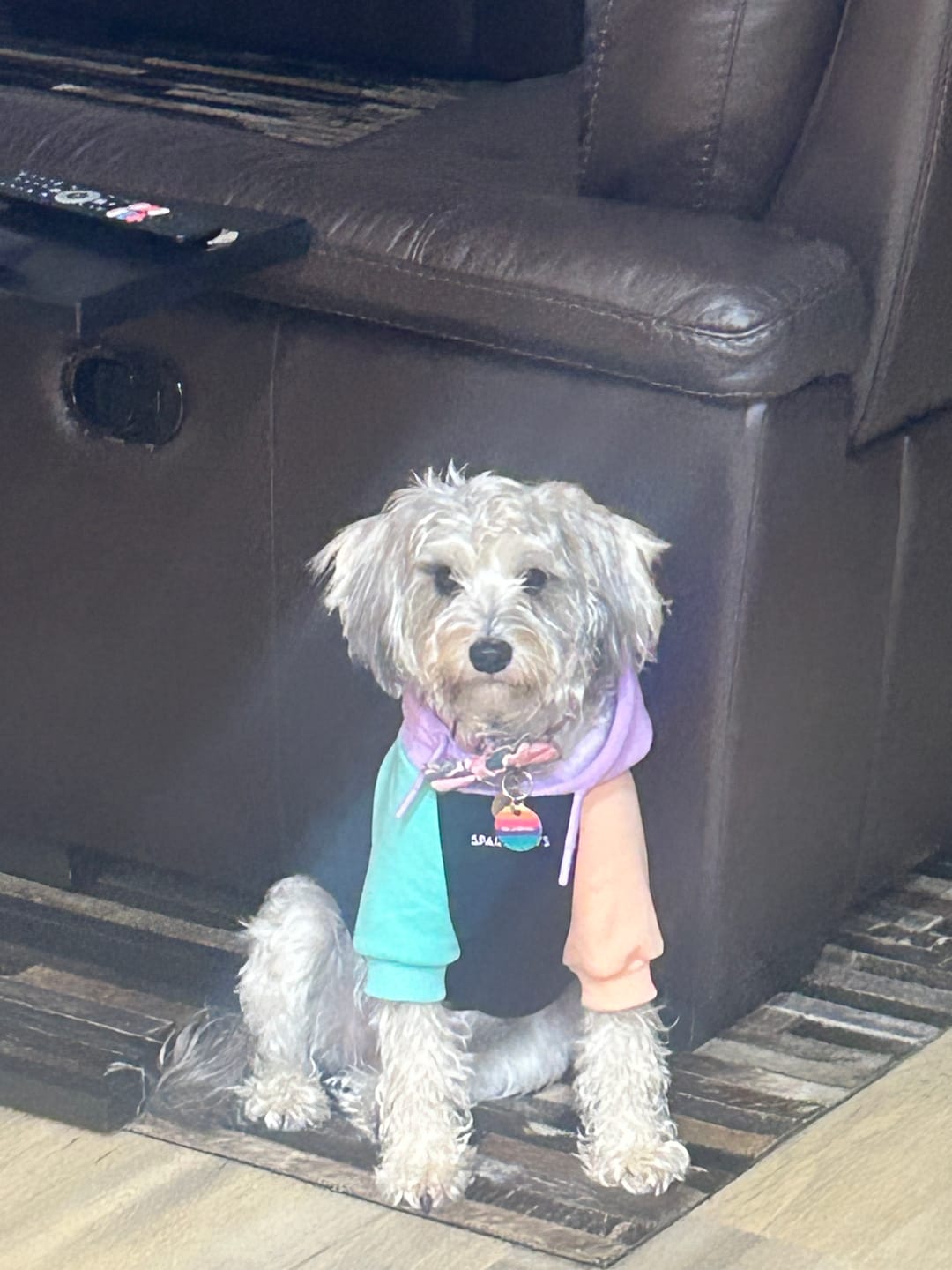 Customer photo review of Cyber Punk Dog Hoodie