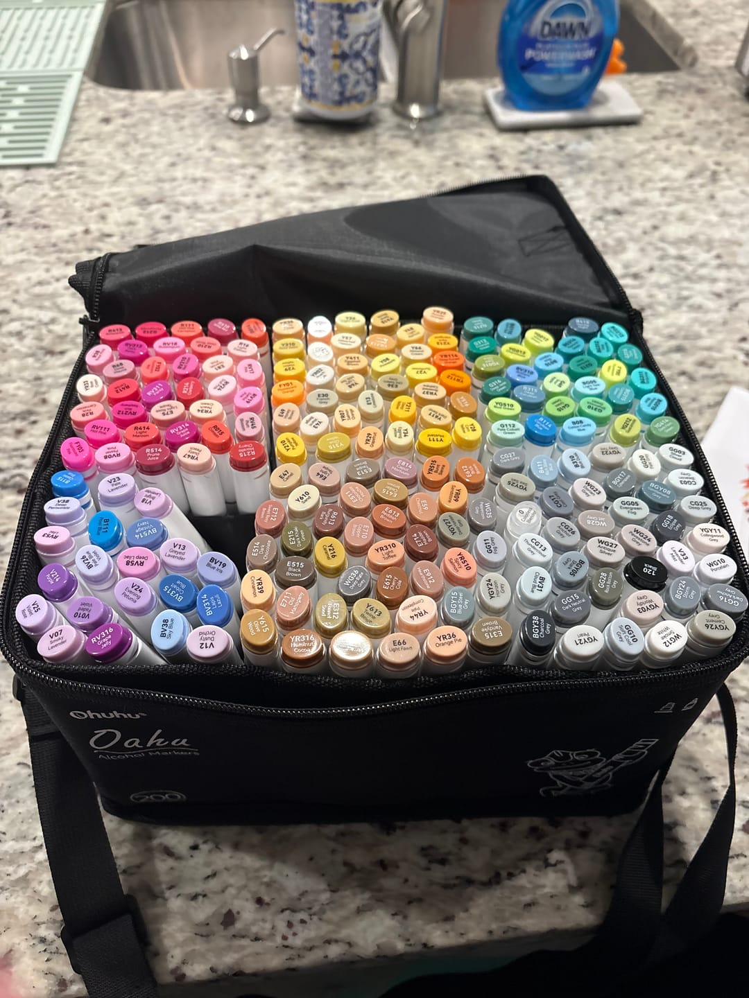Customer photo review of Ohuhu Oahu 200 Colors Dual Tips Alcohol Art Markers, Fine & Chisel