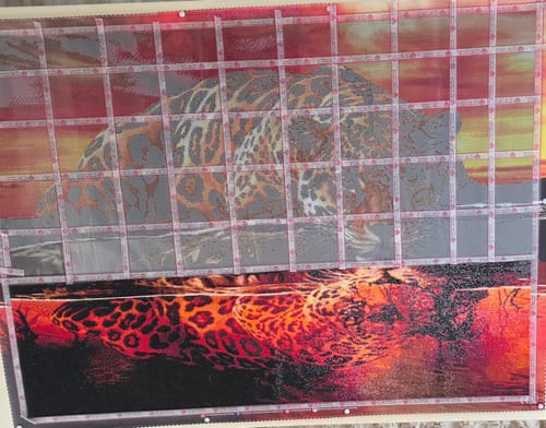 Customer photo review of 5D Diamond Painting – Sonnenuntergang Leopard
