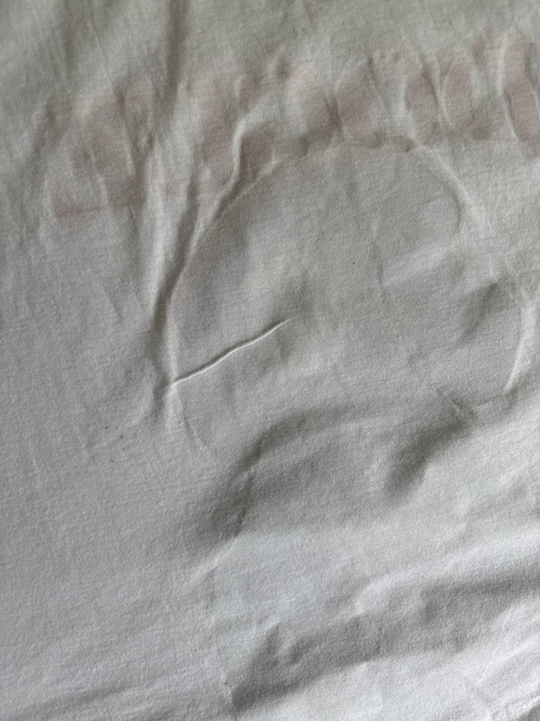 Customer photo review of T-Shirt DOGUE - Dackel