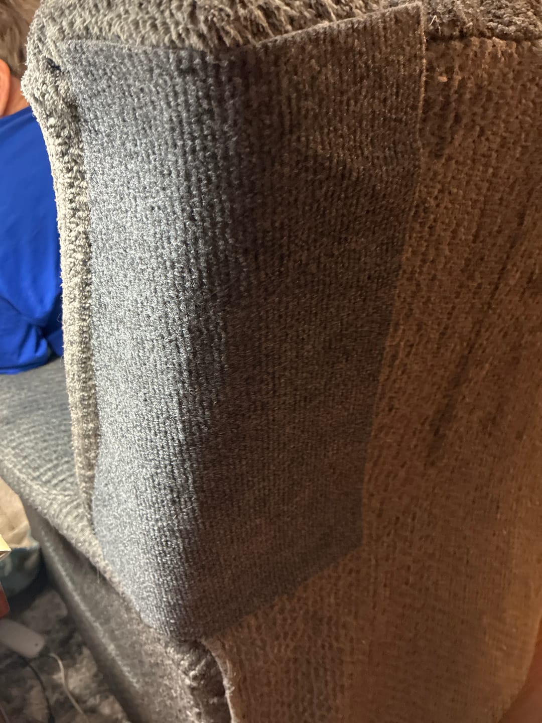Customer photo review of Multifunctional Cat Scratching Carpet