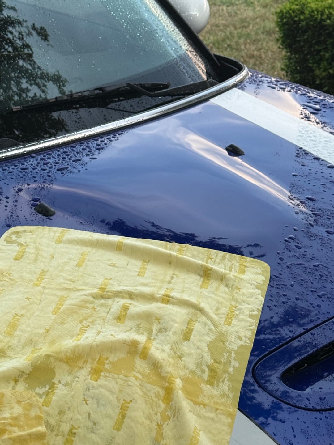Customer photo review of 80eighty® Synthetic Chamois Towel