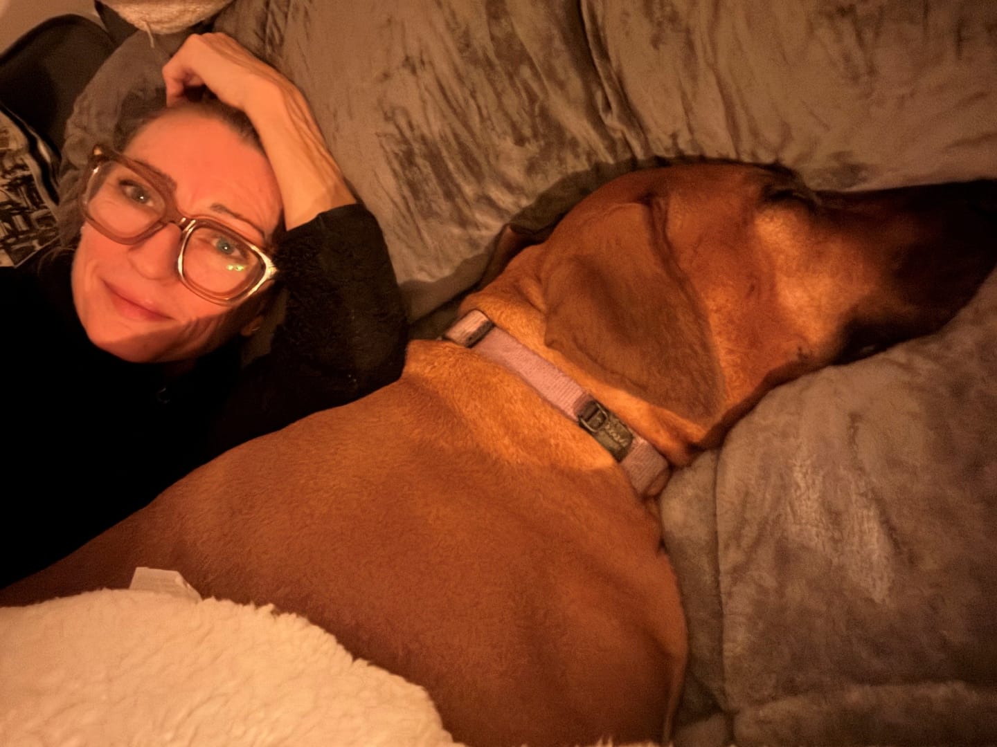 Customer photo review of Ultra Warm Comforter Blanket