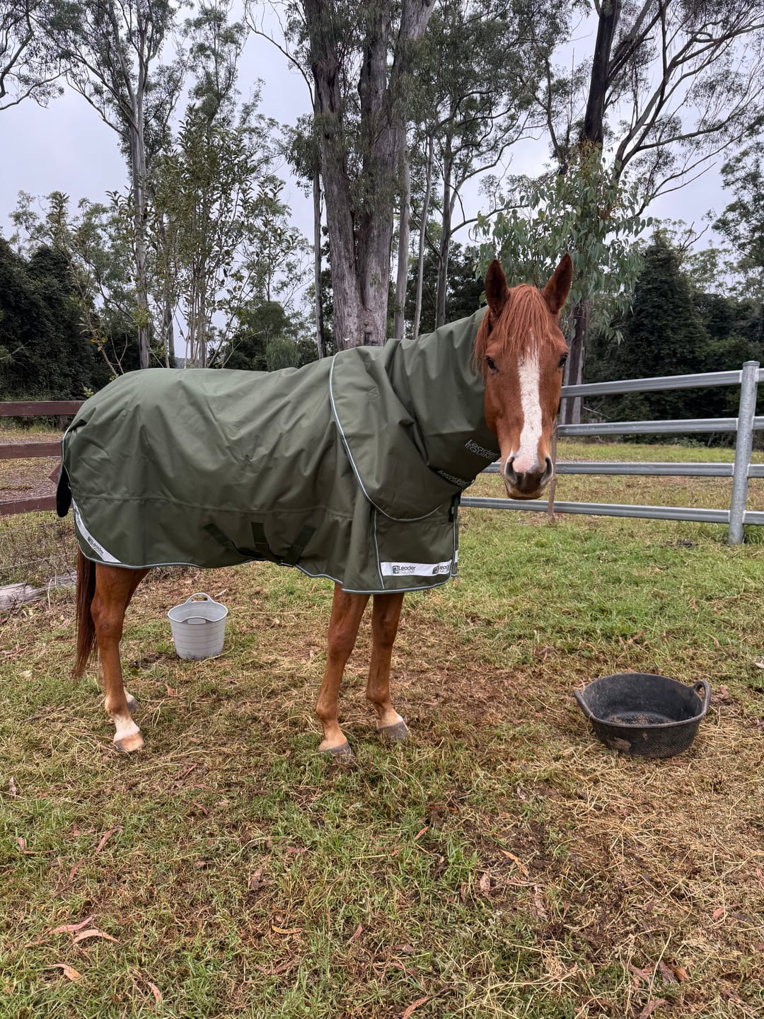 Customer photo review of LE Boxter Turnout 100g