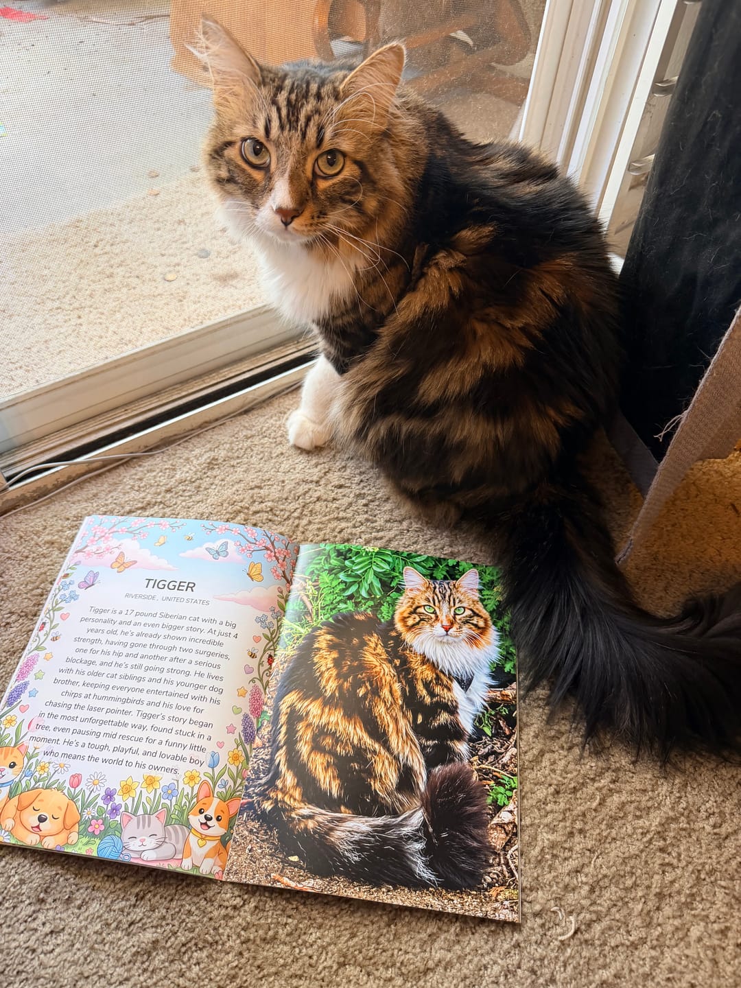 Customer photo review of Cutest Pets of Pupvote Spring 2026