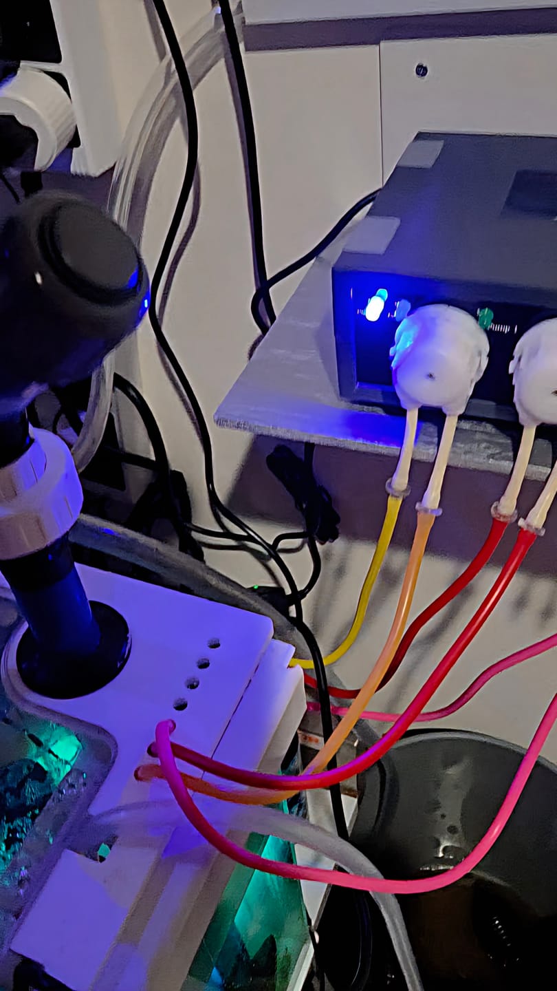 Customer photo review of Coral Essentials CVE+