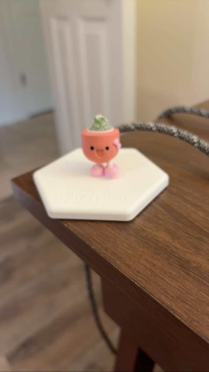 Customer photo review of Tiny Mama Special Edition: Glitter Mama