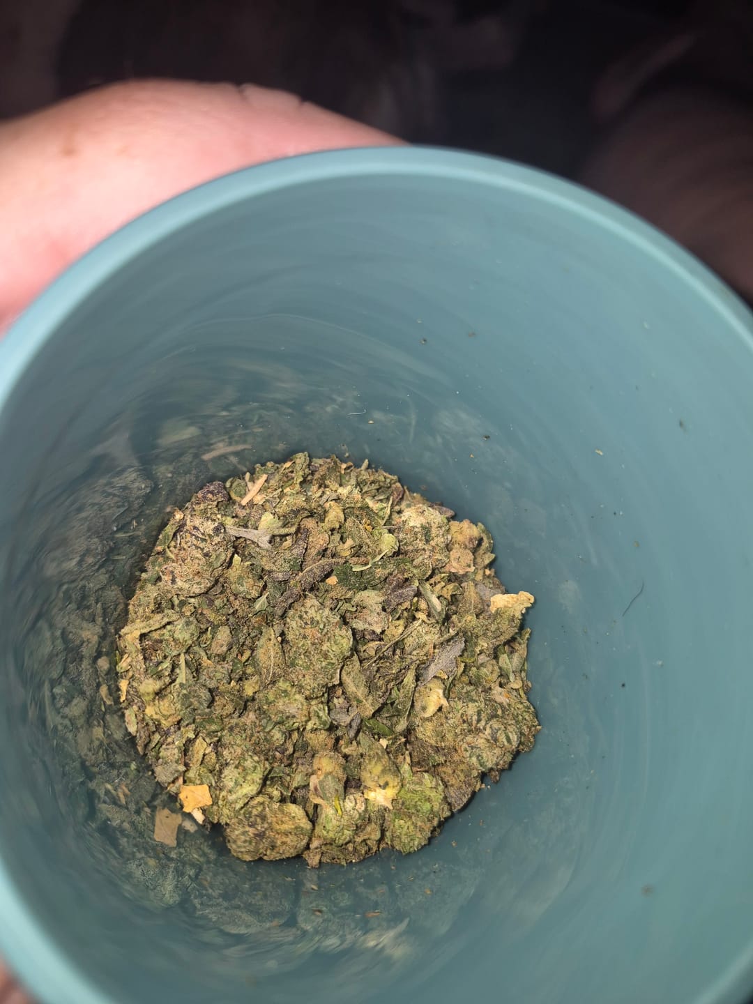 Customer photo review of Exotic Shake