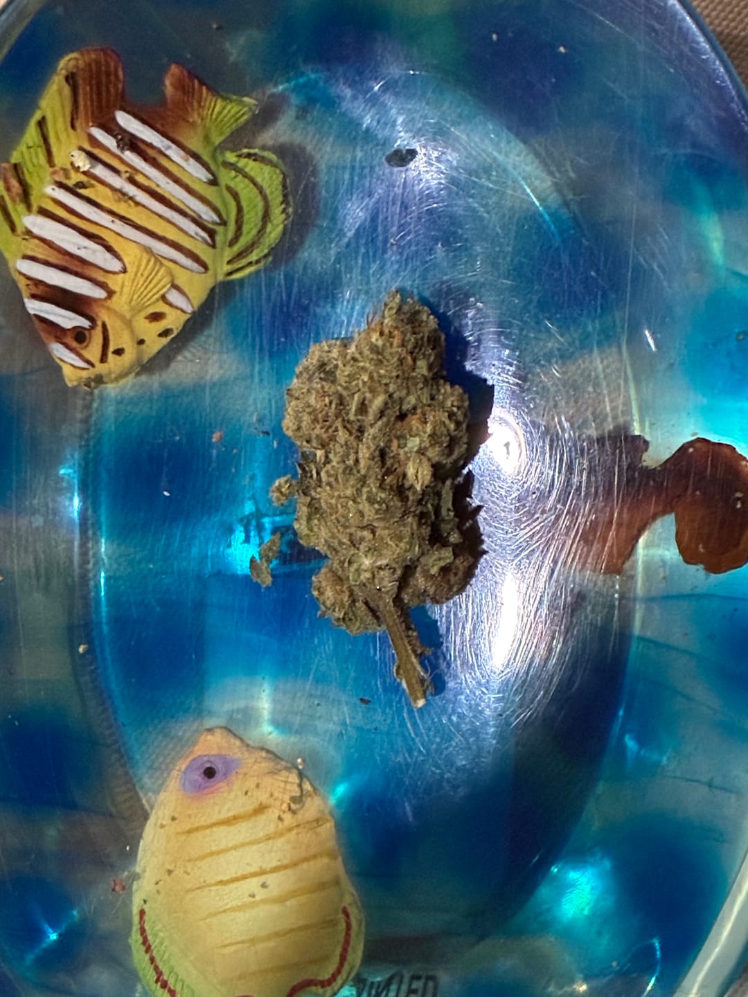 Customer photo review of Melon - Hybrid