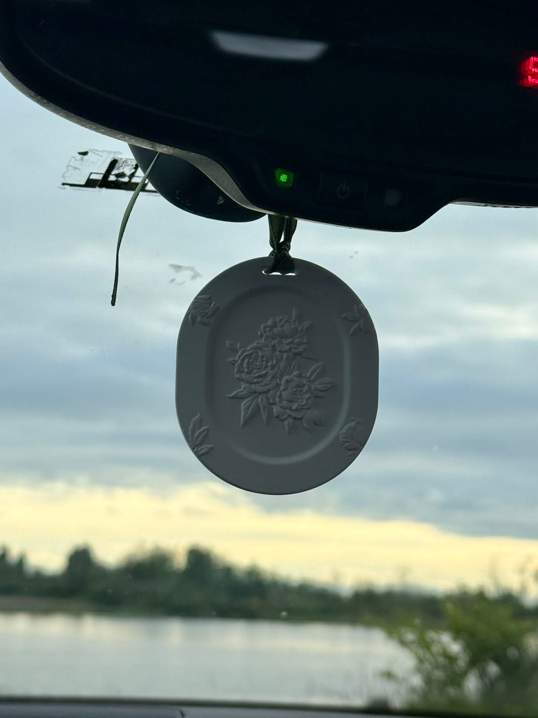 Customer photo review of Botanical Gypsum Pendant