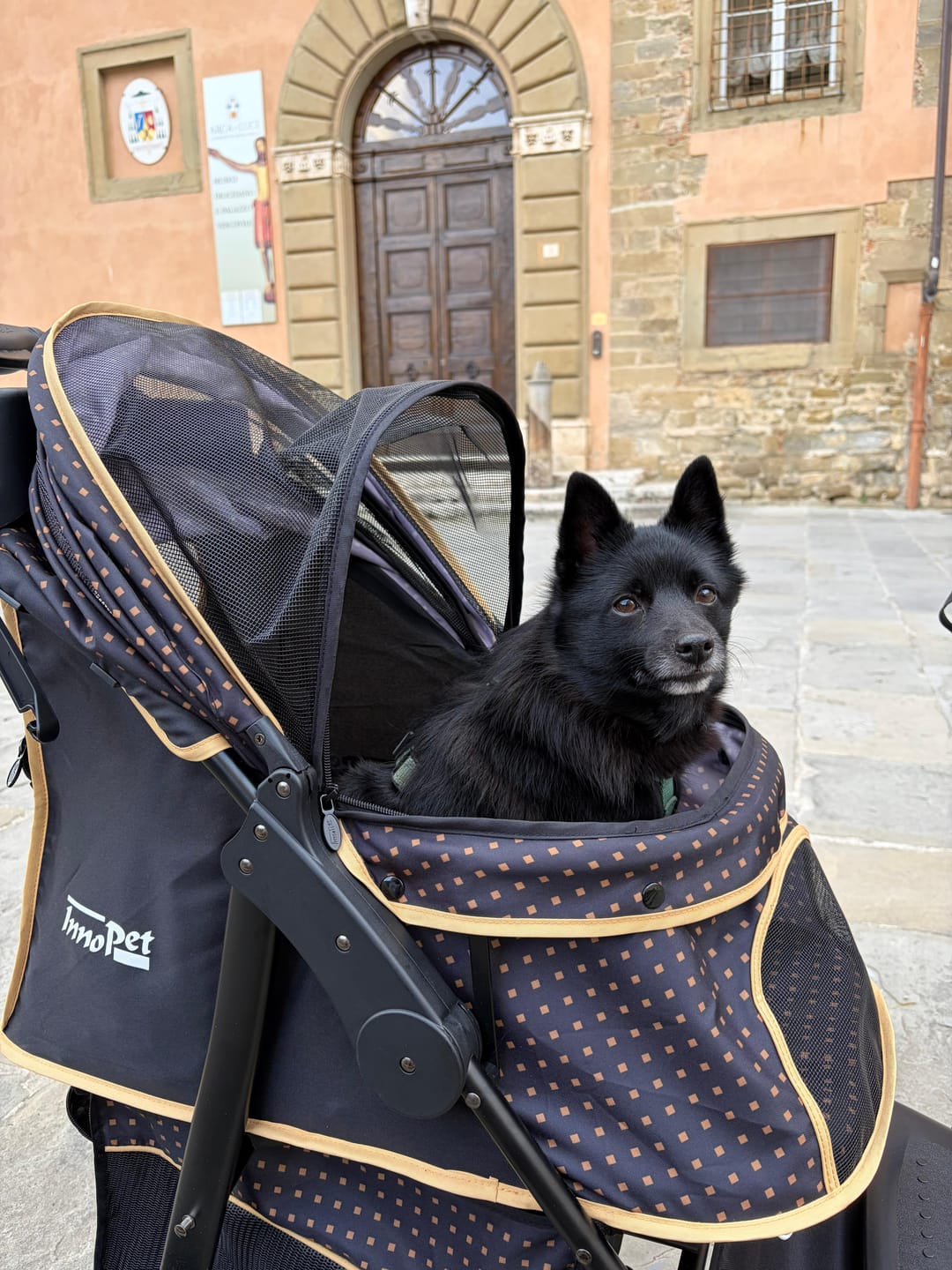 Customer photo review of Adventure lemmikkirattaat