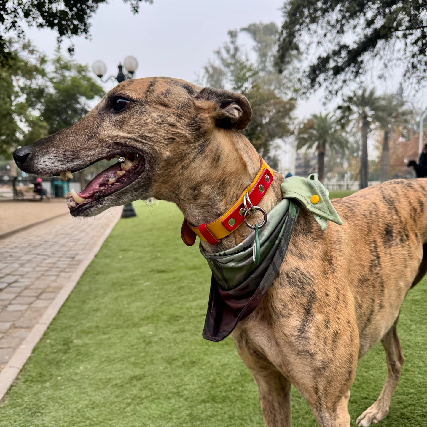 Customer photo review of Bandana Paisaje Verde