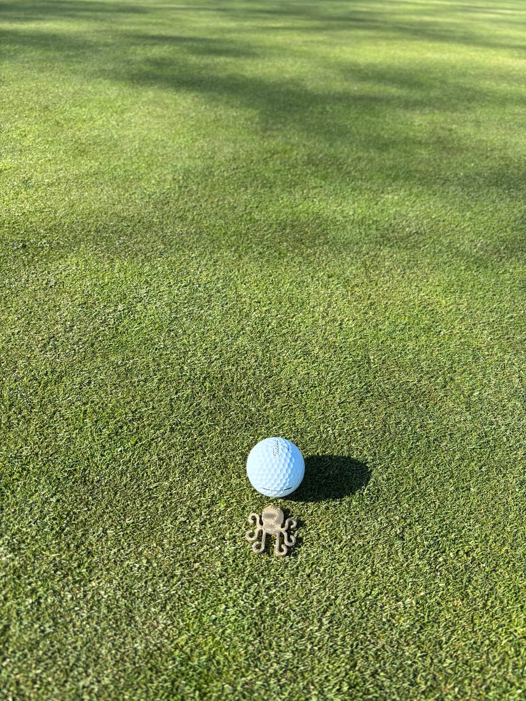 Customer photo review of Kraken Logo Ball Marker - Brass Damascus