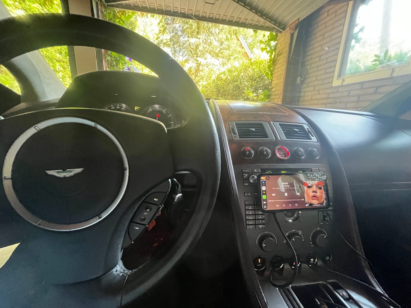 Customer photo review of CarpodGo Mini
