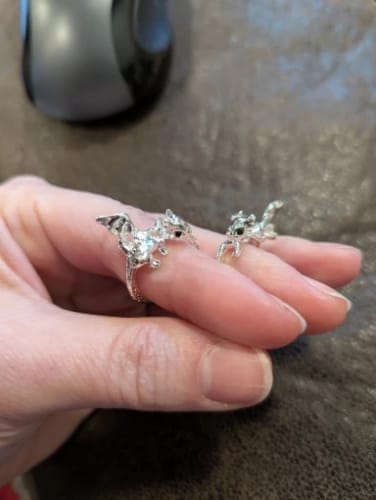 Customer photo review of Adjustable Toothless & Light Fury Ring