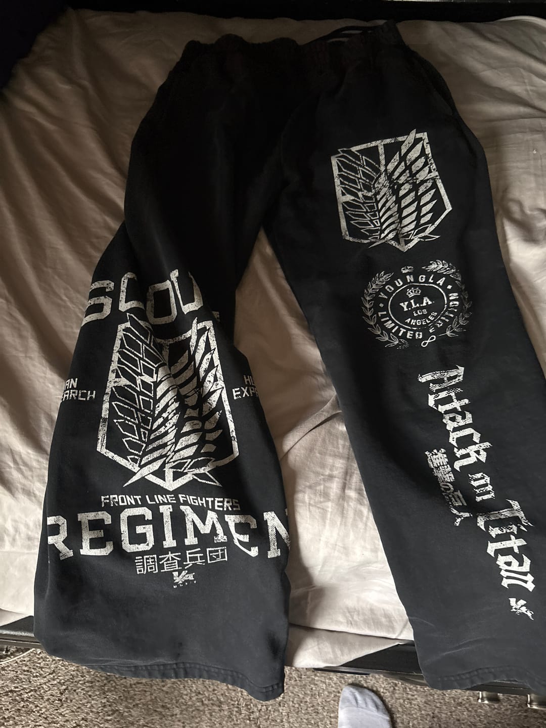 Customer photo review of 2128 - AOT©  x YLA Baggy Joggers