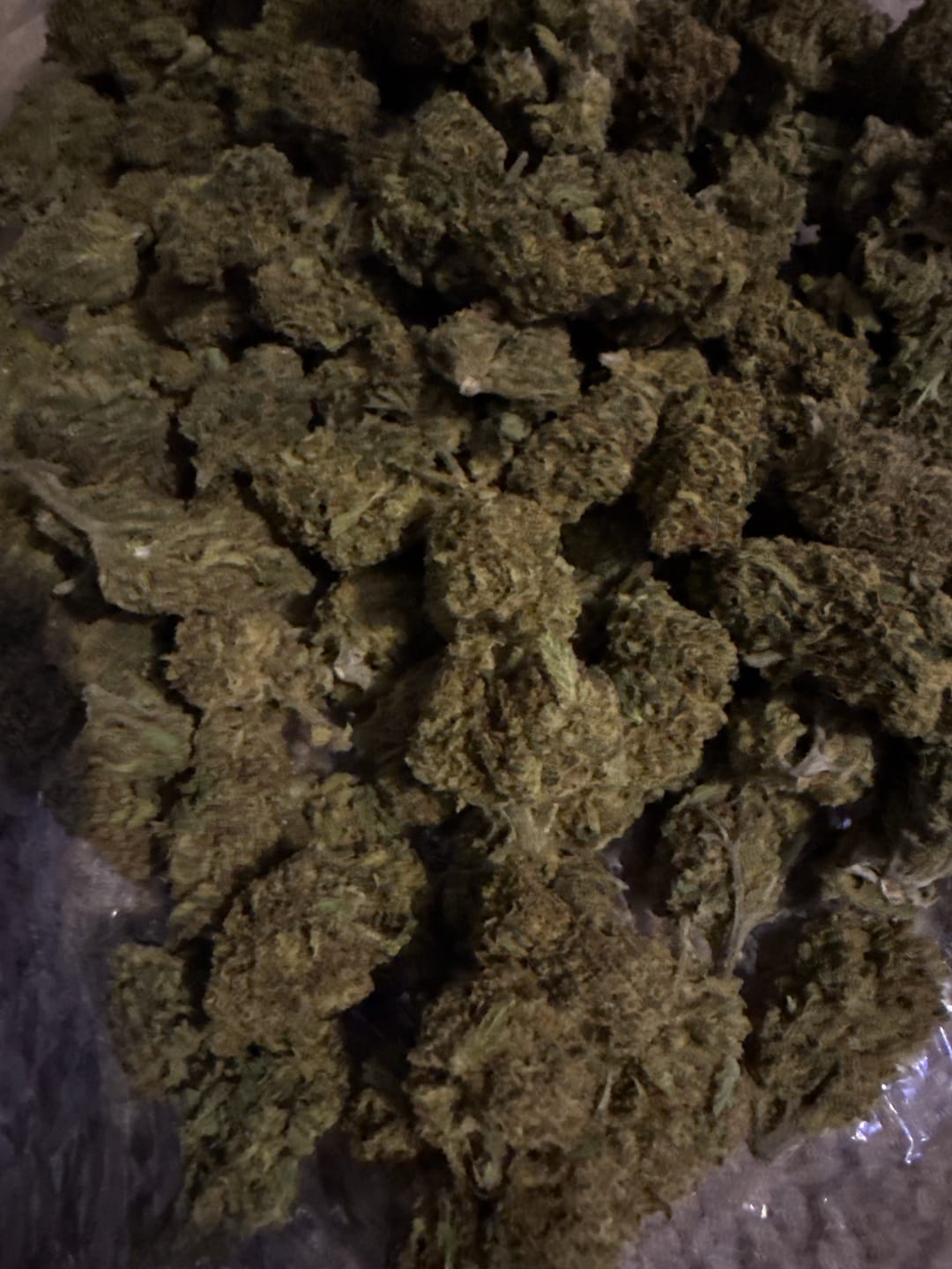 Customer photo review of Double Dream - Bulk - Sativa