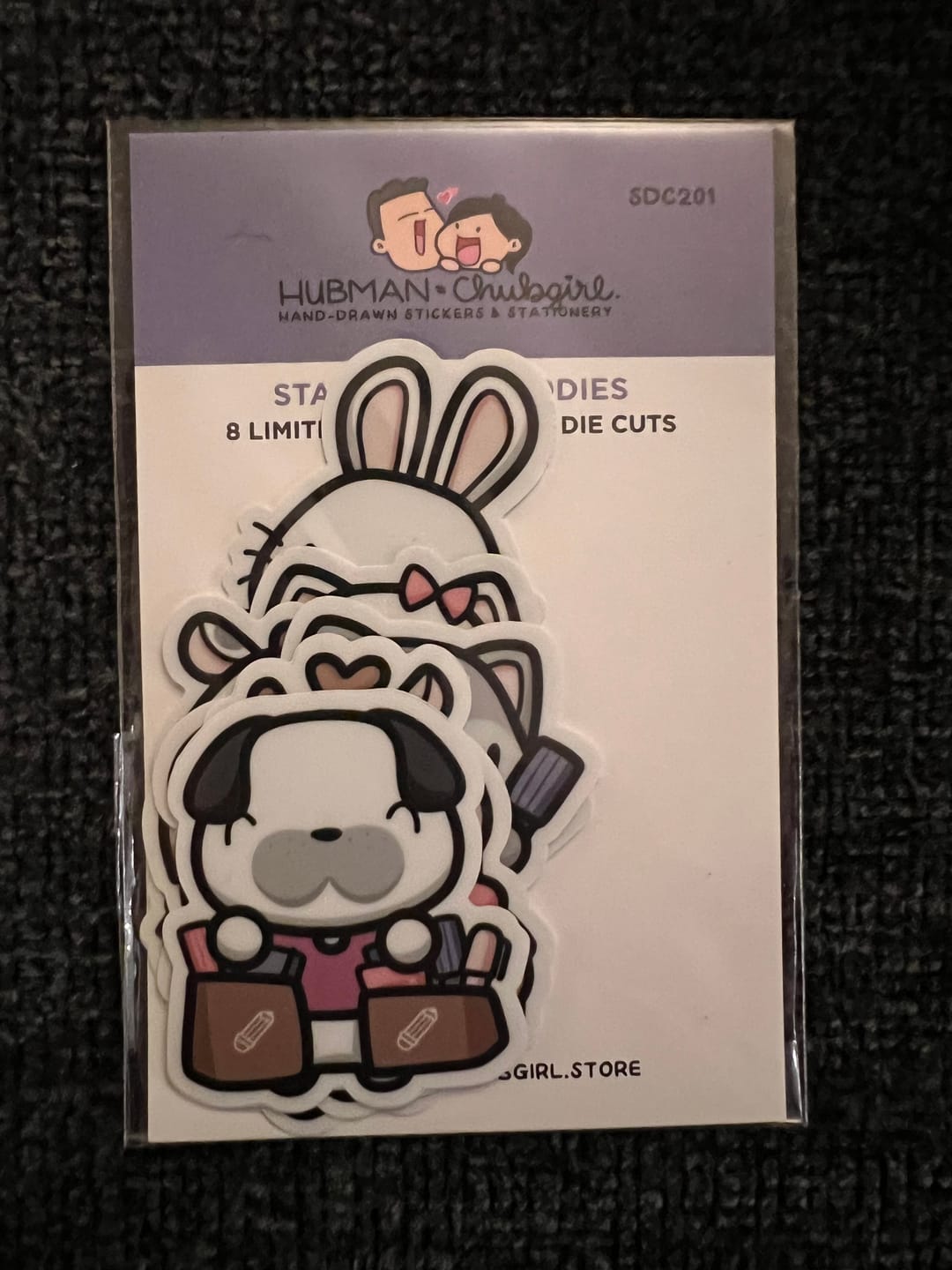 Customer photo review of Stationery Buddies Die Cut Stickers