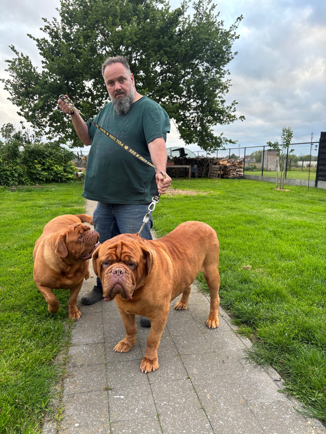 Customer photo review of Madra x The Scratch - Leash
