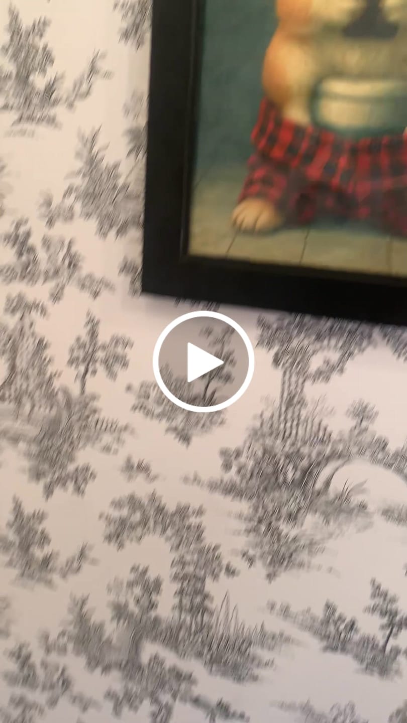 Customer video review of Corgi Dog On The Phone On The Toilet