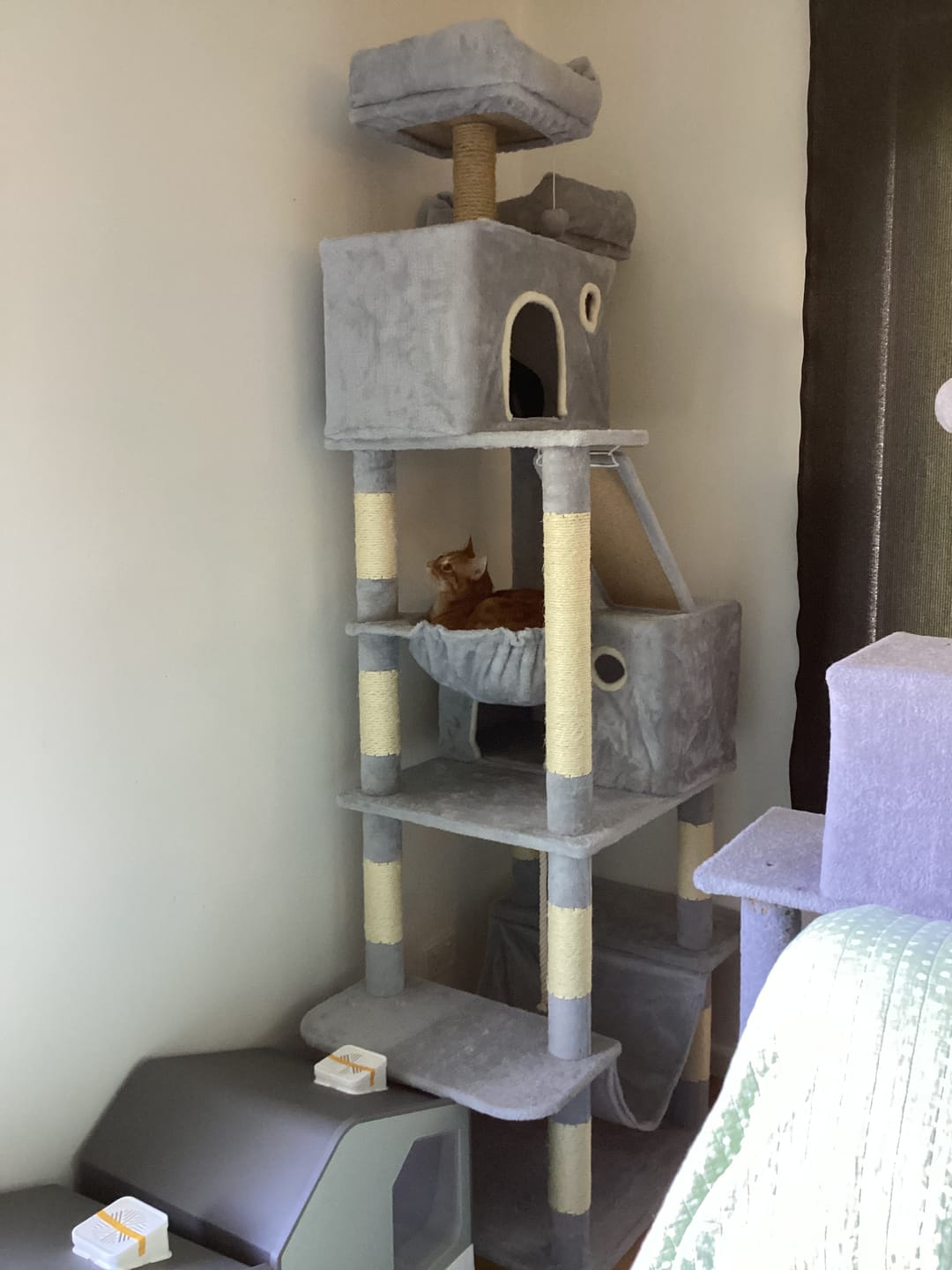 Customer photo review of Pawz Cat Tree Tower Scratching Post Scratcher 206cm Climbing Tree House Bed Grey