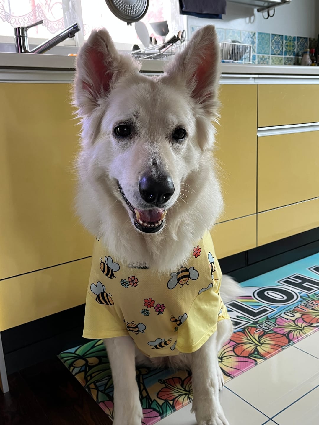 Customer photo review of Sunblock T-Shirt 3 Pack