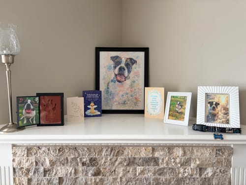Customer photo review of Personalized Poster With Dog or Cat - Watercolor
