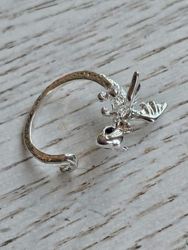 Customer photo review of Adjustable Toothless & Light Fury Ring